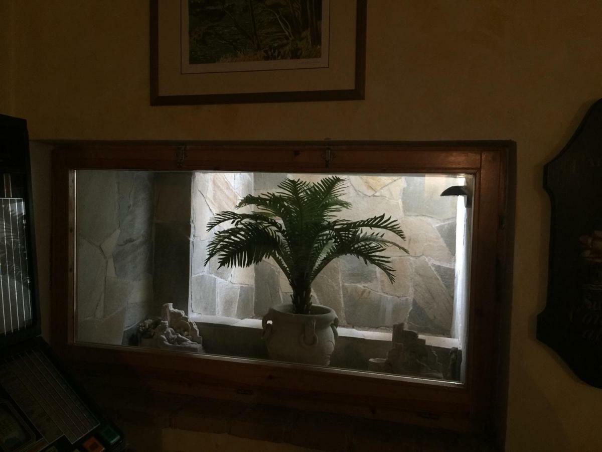 Casa Ruggy Leilighet Perugia Eksteriør bilde